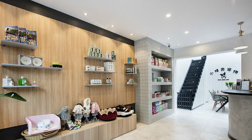 成都专业宠物店设计装修指南 六安装饰助您打造理想空间